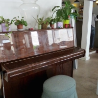 Au Fond du Jardin