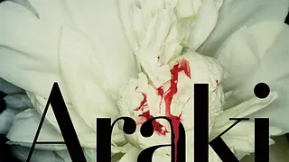 Araki