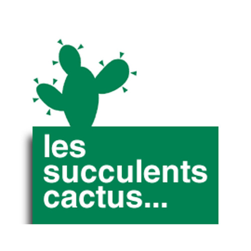 Les Succulents Cactus Shop Paris