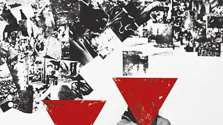 Foxygen en concert