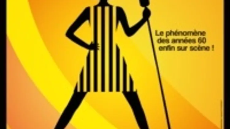 Salut les Copains