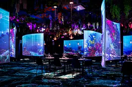 Under the sea
