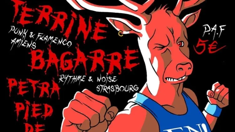 Terrine + Bagarre + Petra Pied de Biche en concert