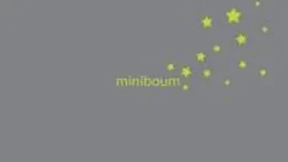 Miniboum