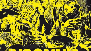 Insomnia: "vous êtes des animaux"