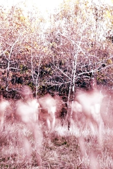 Sur les Traces de Xpujil • Nova Materia Invite Cosmic Neman