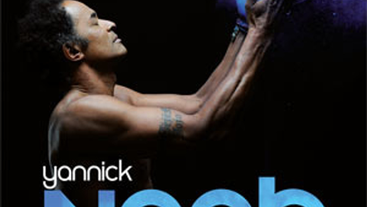 Yannick Noah en concerts