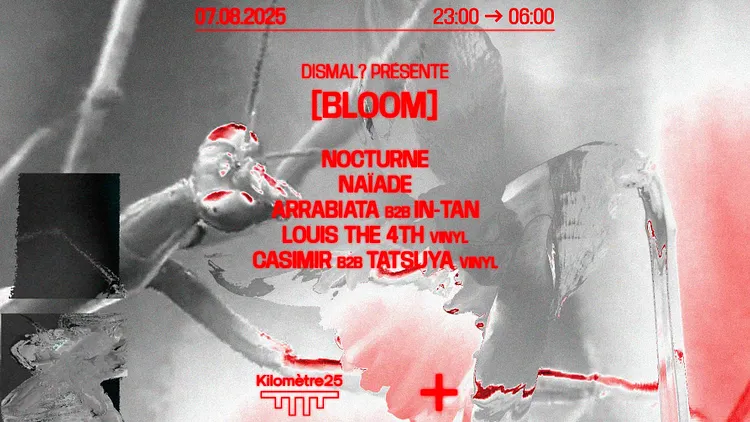DISMAL? : LOUIS THE 4TH, ARRABIATA B2B IN-TAN, NOCTURNE