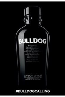 Gin Party #Bulldogcalling @lepavillondulac