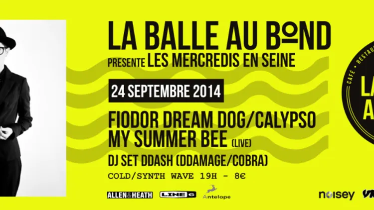 Fiodor Dream dog,calypso,my summer bee