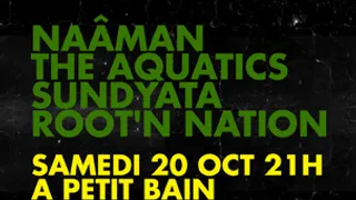Alternative Reggae Party