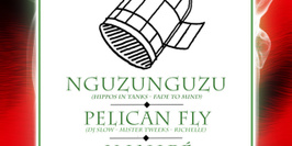 Pelican Fly x 55DSL