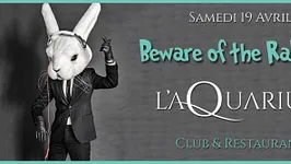 L'aQuarium - Beware of the Rabbit