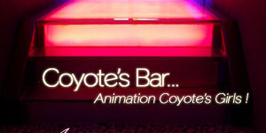 After 7 - Coyote's Bar