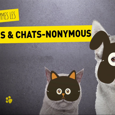 On va ronronner à Chiens & Chats l'expo !