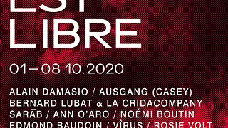 Festival La Voix est Libre 2020 // CO-LAPSUS – D’âmes mêlées à Damasio