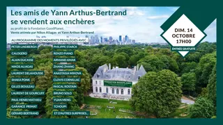 Les amis de Yann Arthus-Bertrand se vendent aux enchères