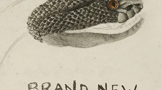 Brand New