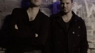 P.U.R.E Dinosaures