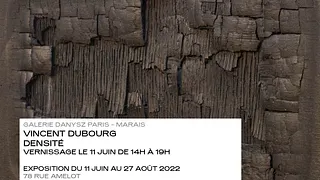 Vincent Dubourg, Densité