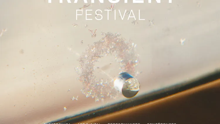 TRANSIENT FESTIVAL 2014