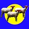 Les moutons T