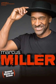 Marcus Miller en concert