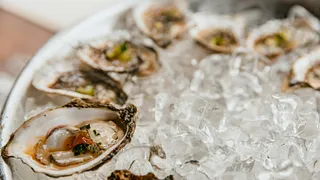 Happy Oyster