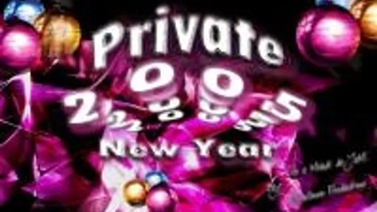 Private New Year