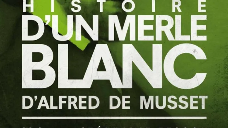 Histoire d'un merle Blanc