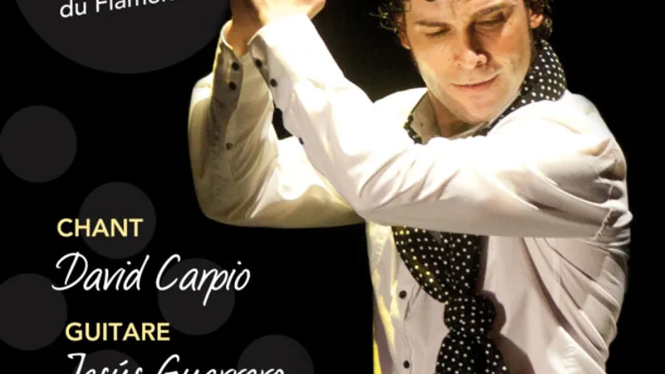 Andrés PENA, Trio Flamenco d'Andalousie