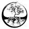 Soma D