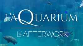 Opening exclusif - Afterwork à l'aquarium