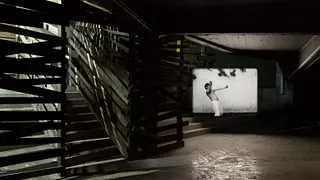 Joachim Koester - Reptile Brain Or Reptile Body, It's Your Animal
