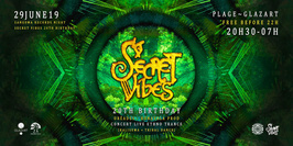 Secret Vibes 20th Birthday