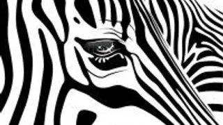 Freak N'chic