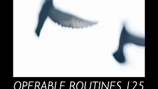 Expo « Operable Routines 125 »