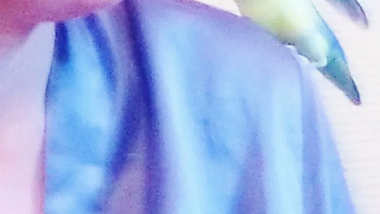 Face de Cuillère