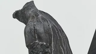 Visite guidée de l'exposition-résidence de Hugo Servanin : « Morphose »