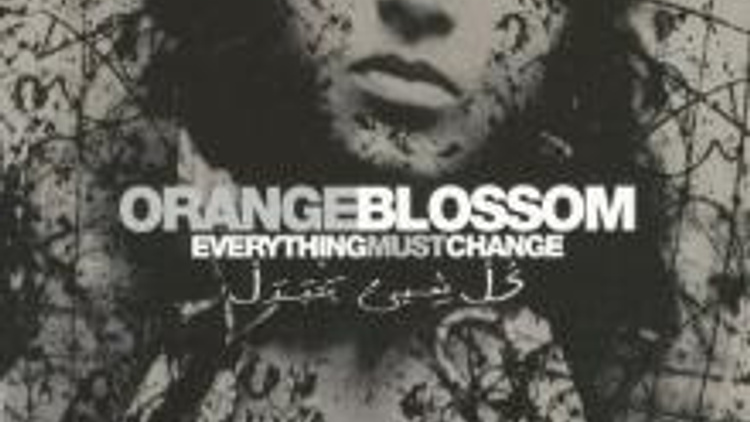 Orange Blossom