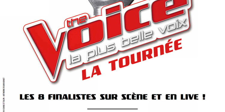 The Voice, La Tournée