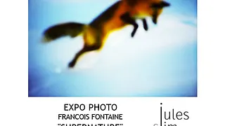 EXPOSITION SUPERNATURE - HOTEL JULES & JIM