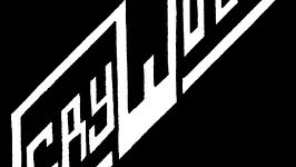 VERWESUNG N°4 CRY WOLF CONCERT LIVE