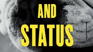 CHASE AND STATUS LIVE + NERO + DJ NETIK (ANNULE)
