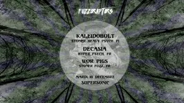 Kaleidobolt ✘ Decasia ✘ Wor Pigs !