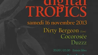 Digital Tropics