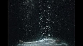 Expo Bill Viola