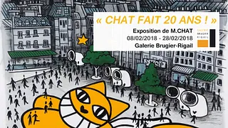 Chat fait 20 ans