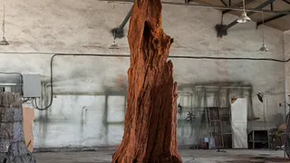 AI WEIWEI