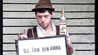 DJ ION DIN ANINA